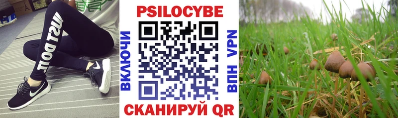 МЕГА ссылки  Волгоград  Псилоцибиновые грибы Magic Shrooms 